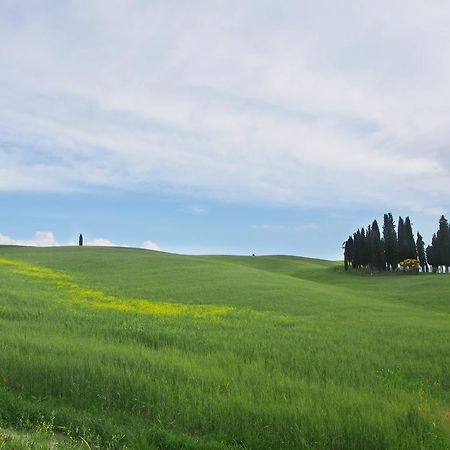 Agriturismo Santa Maria ตอร์ริตา ดิ เซียนา ภายนอก รูปภาพ