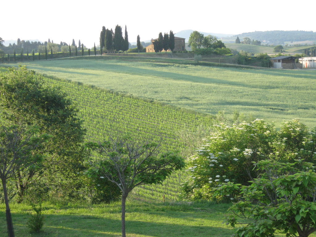 Agriturismo Santa Maria ตอร์ริตา ดิ เซียนา ภายนอก รูปภาพ