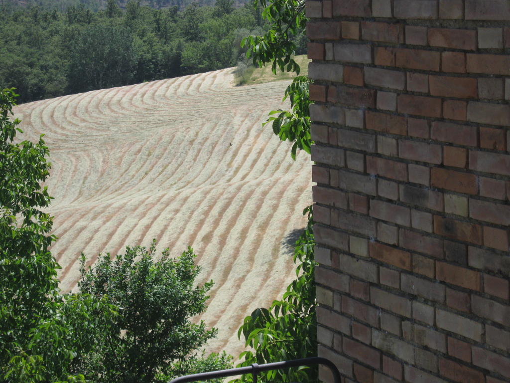 Agriturismo Santa Maria ตอร์ริตา ดิ เซียนา ภายนอก รูปภาพ