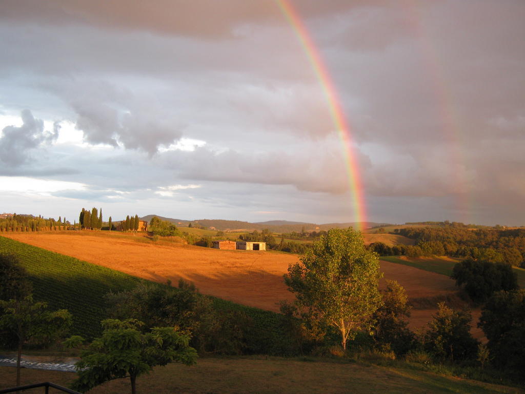 Agriturismo Santa Maria ตอร์ริตา ดิ เซียนา ภายนอก รูปภาพ
