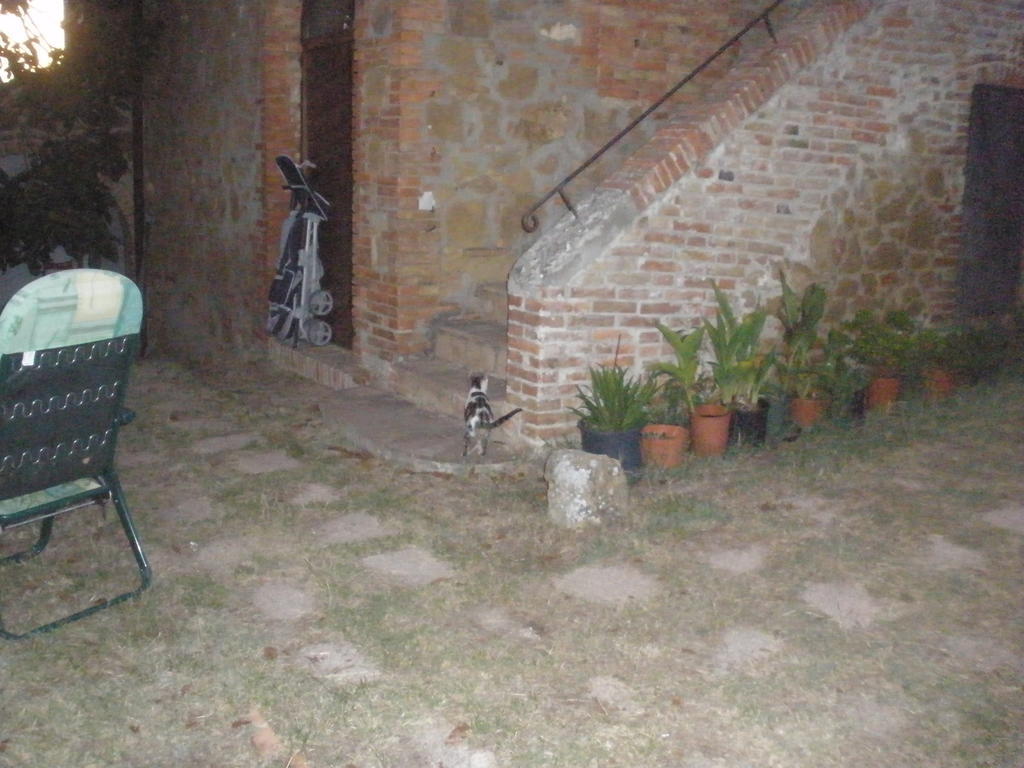 Agriturismo Santa Maria ตอร์ริตา ดิ เซียนา ภายนอก รูปภาพ