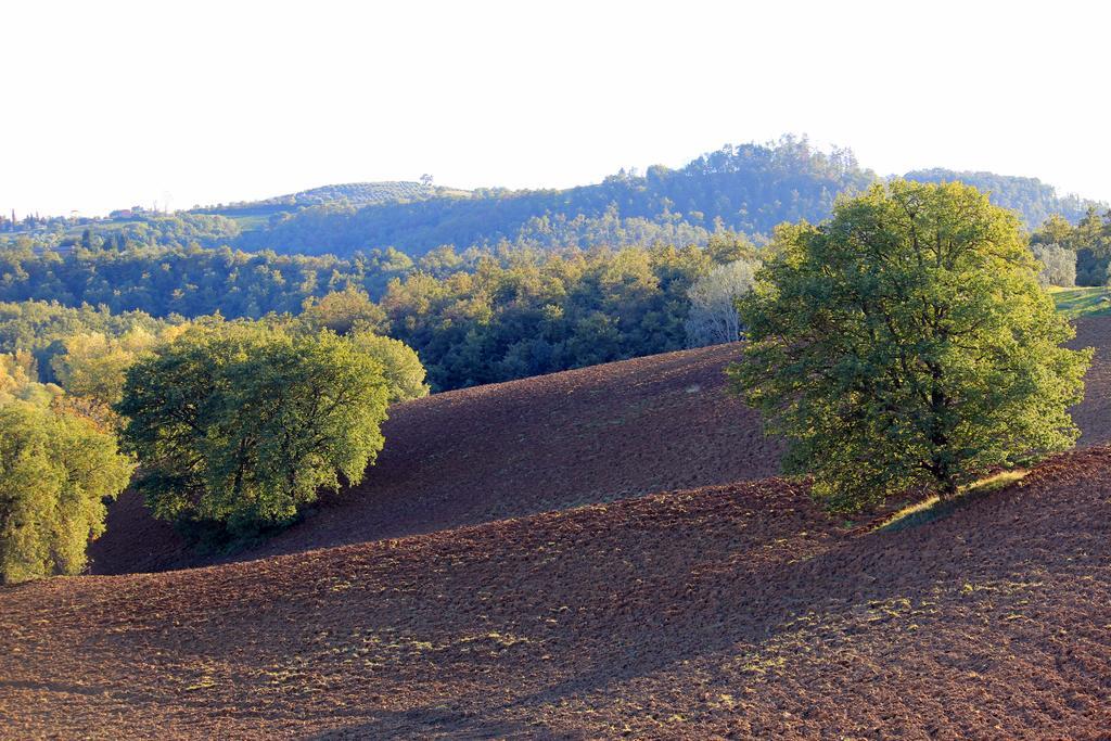 Agriturismo Santa Maria ตอร์ริตา ดิ เซียนา ภายนอก รูปภาพ