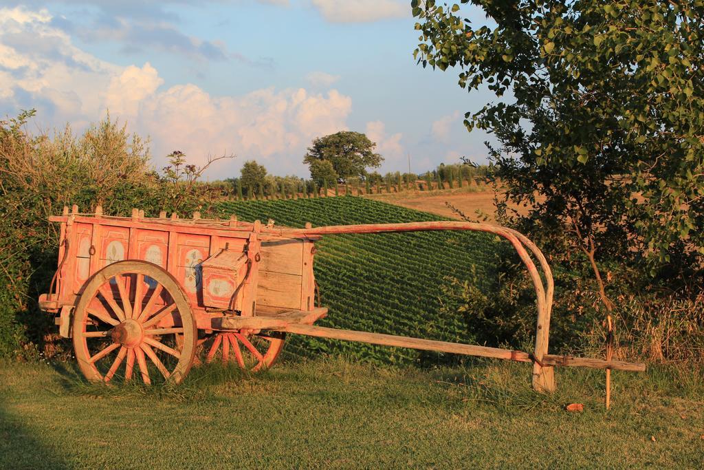 Agriturismo Santa Maria ตอร์ริตา ดิ เซียนา ภายนอก รูปภาพ