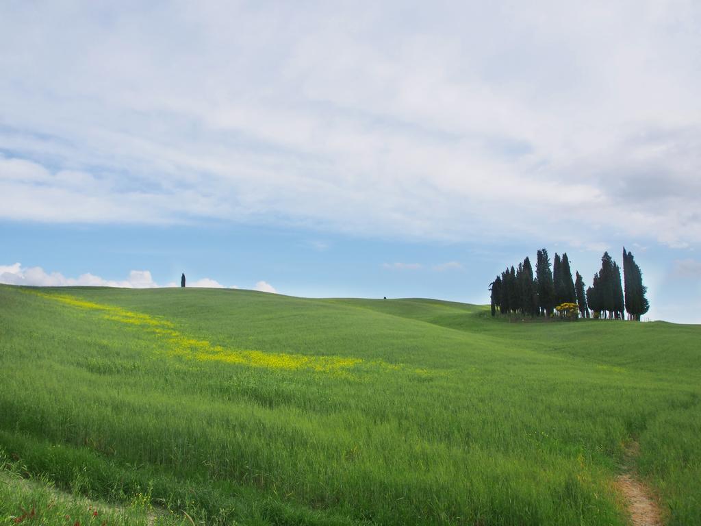 Agriturismo Santa Maria ตอร์ริตา ดิ เซียนา ภายนอก รูปภาพ