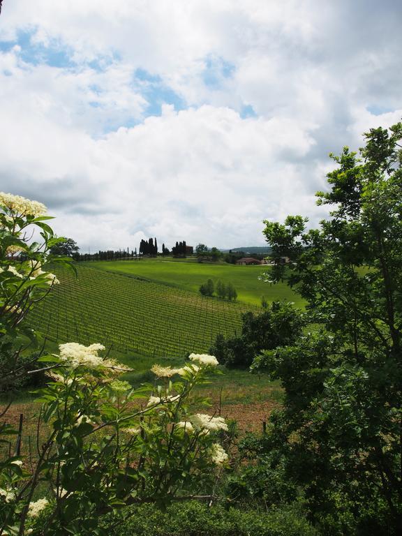 Agriturismo Santa Maria ตอร์ริตา ดิ เซียนา ภายนอก รูปภาพ