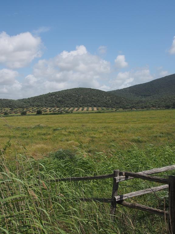 Agriturismo Santa Maria ตอร์ริตา ดิ เซียนา ภายนอก รูปภาพ