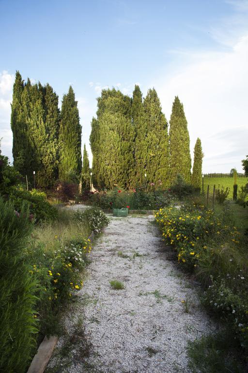 Agriturismo Santa Maria ตอร์ริตา ดิ เซียนา ภายนอก รูปภาพ