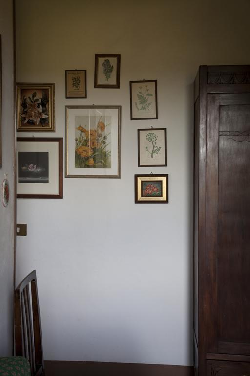 Agriturismo Santa Maria ตอร์ริตา ดิ เซียนา ภายนอก รูปภาพ