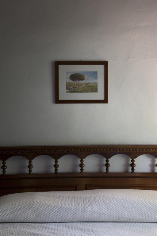 Agriturismo Santa Maria ตอร์ริตา ดิ เซียนา ภายนอก รูปภาพ